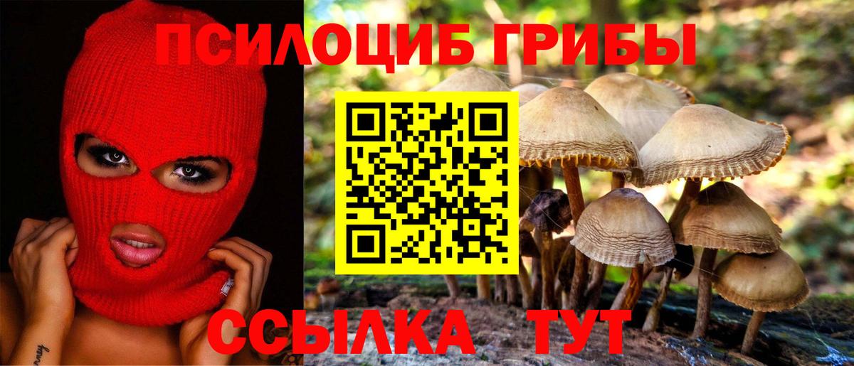 Североуральск  Псилоцибиновые грибы Magic Shrooms  Вход с VPN  Псилоцибиновые грибы Cubensis 